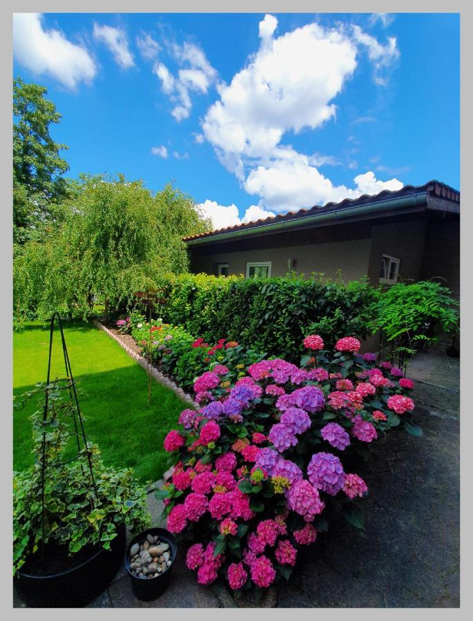 Kolev Apartments Kelsterbach Exterior foto