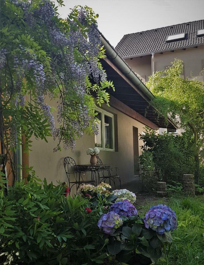 Kolev Apartments Kelsterbach Exterior foto